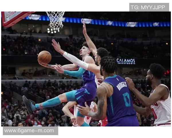 雄鹿与黄蜂比赛数据全面对比分析揭示球队实力差异与战术特点